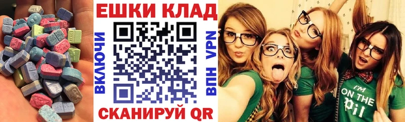 Купить закладки  Славгород  ЭКСТАЗИ круглые 