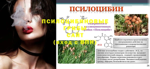 метамфетамин Богданович