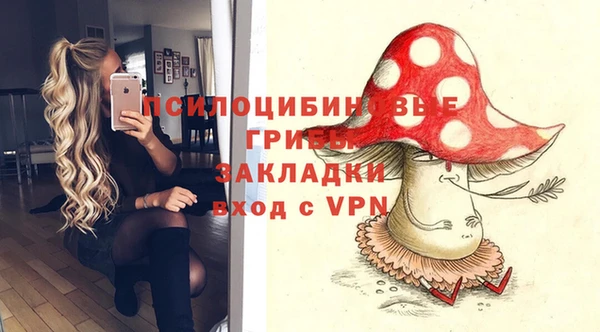 метамфетамин Богданович