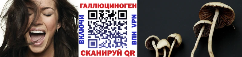 Галлюциногенные грибы Psilocybe  Купить где  Славгород 